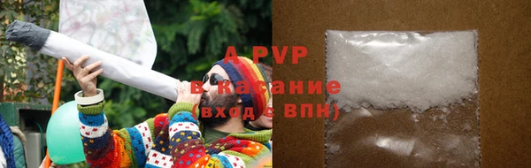apvp Алексин