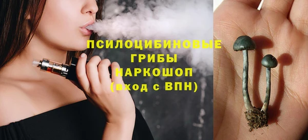 apvp Алексин