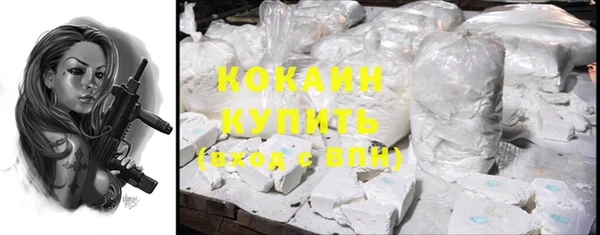 твердый Алзамай