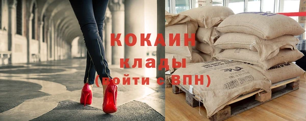 твердый Алзамай