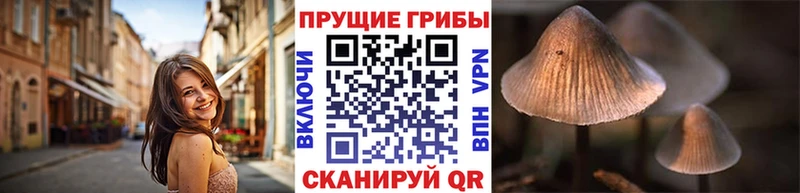 где купить наркотик  Карабулак  Псилоцибиновые грибы MAGIC MUSHROOMS 